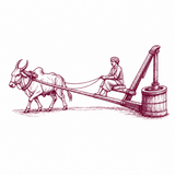 Bull Driven Safflower Oil - 1L