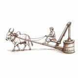 Desi Naturals Bull-Driven Cold Pressed Sunflower Oil – Pure, Nutrient-Rich & Heart-Healthy